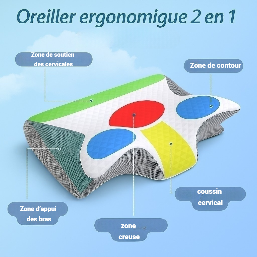 Oreiller Cervical EZALIN™-Le Secret d’un Sommeil Sans Douleur